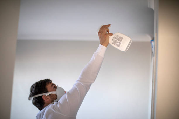Certified Mold Removal in Parkesburg, PA