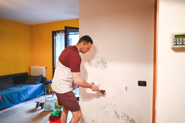 Best Water Damage Restoration  in Rkesburg, PA